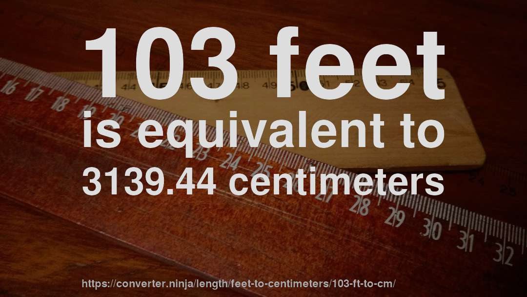 103 feet is equivalent to 3139.44 centimeters