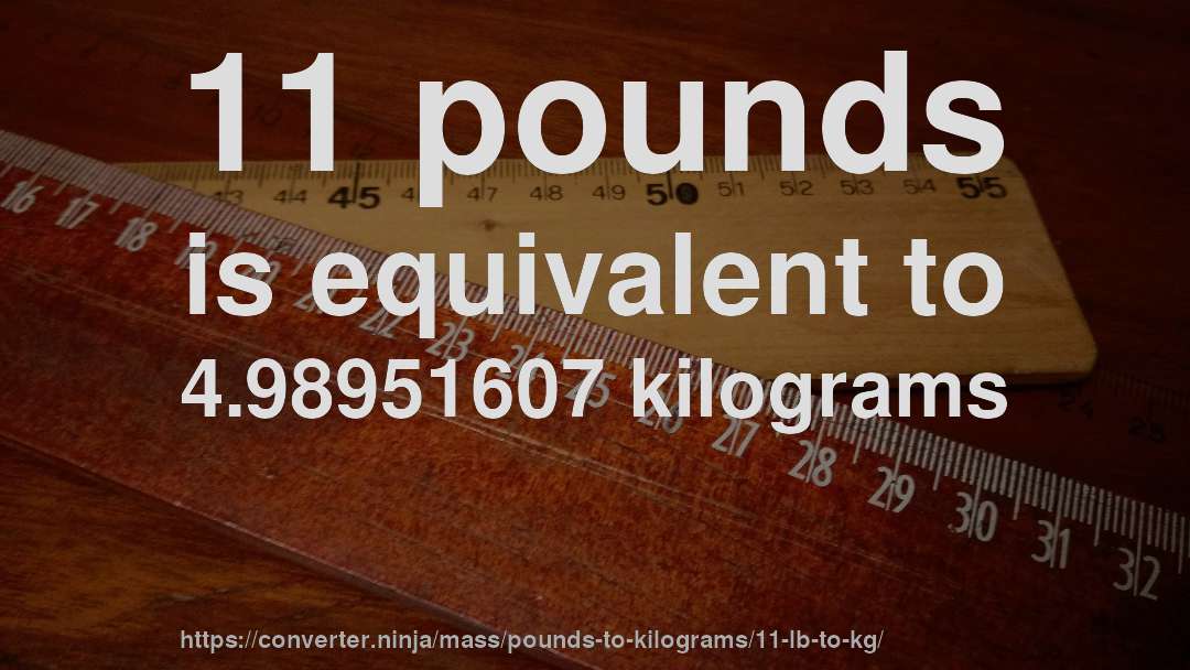 11 pounds is equivalent to 4.98951607 kilograms