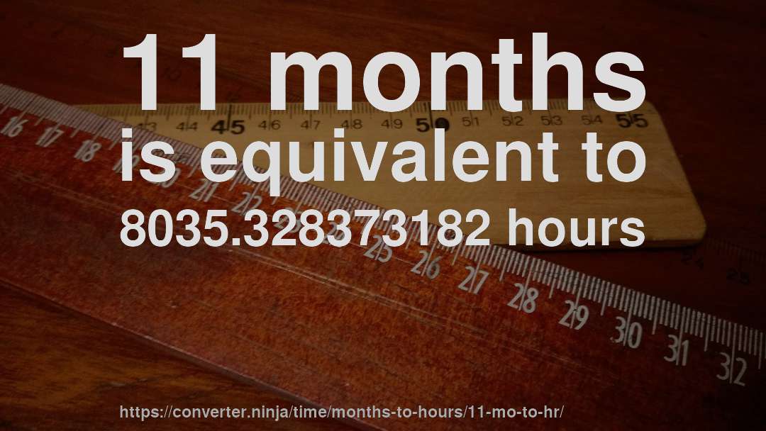 11 months is equivalent to 8035.328373182 hours