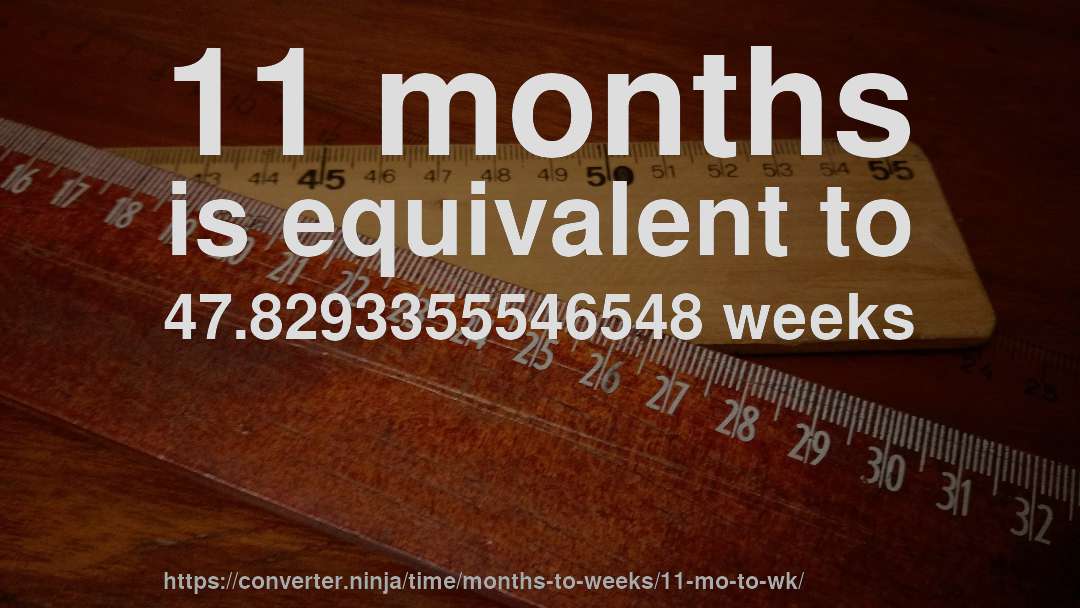 11 months is equivalent to 47.8293355546548 weeks