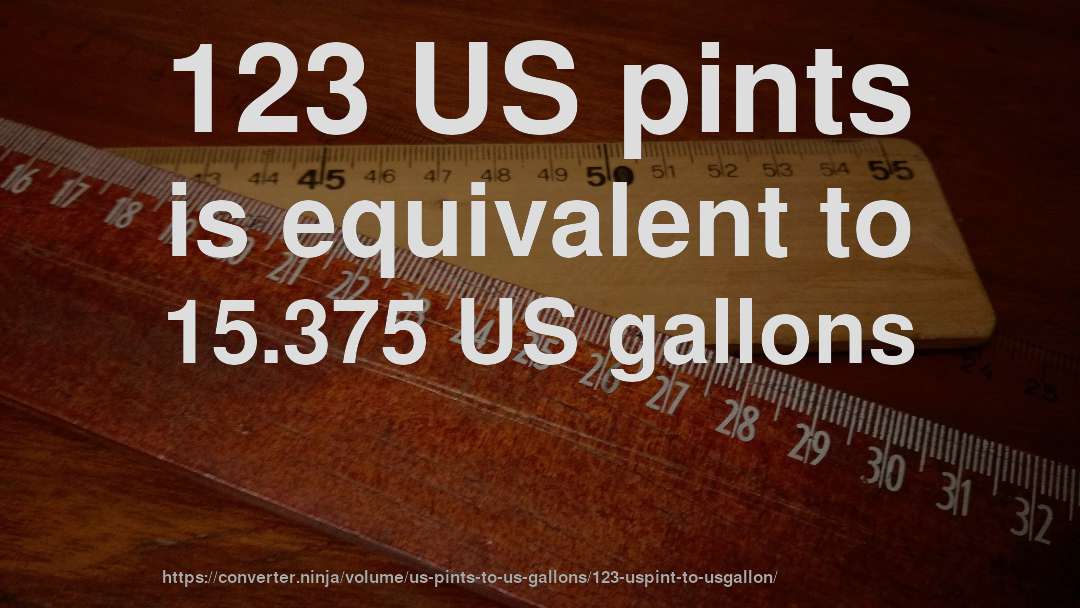 123 US pints is equivalent to 15.375 US gallons