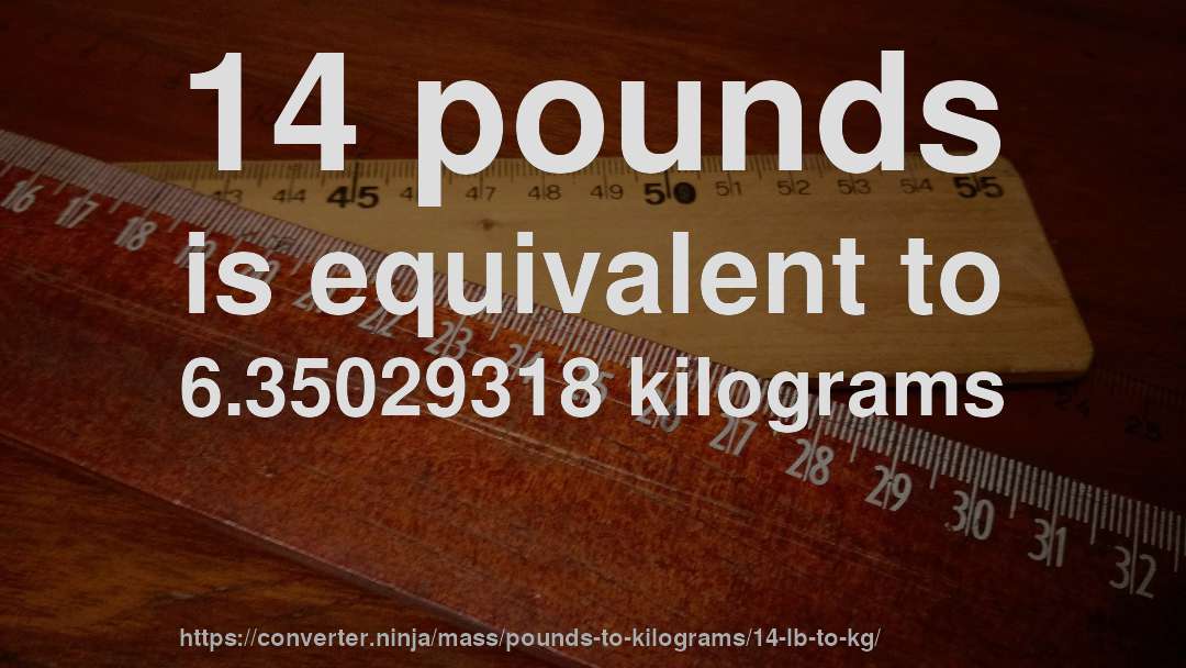 14 pounds is equivalent to 6.35029318 kilograms