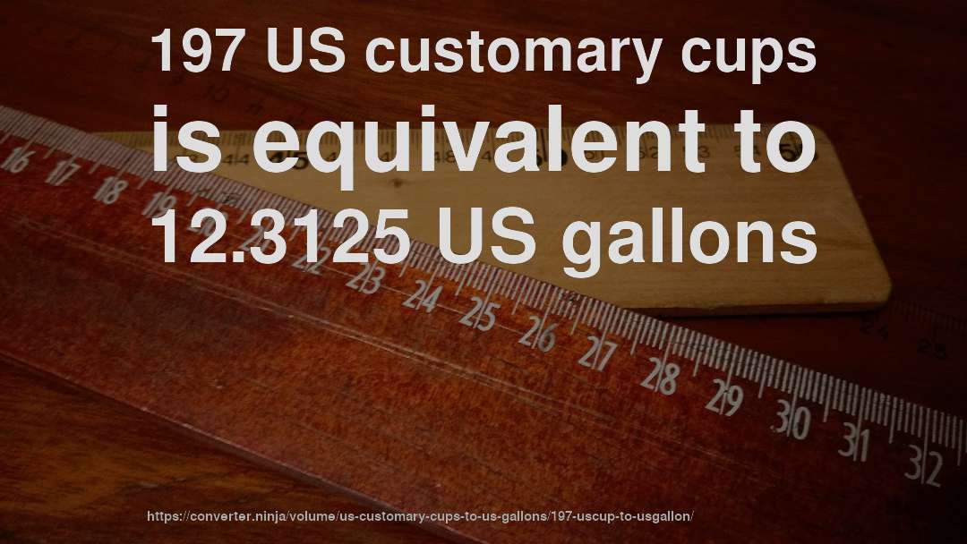 197 US customary cups is equivalent to 12.3125 US gallons