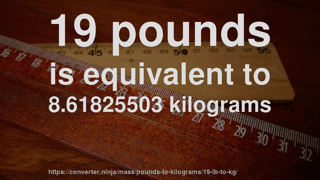 19 pounds is equivalent to 8.61825503 kilograms