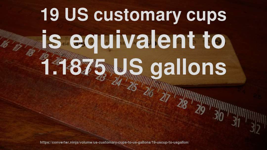 19 US customary cups is equivalent to 1.1875 US gallons