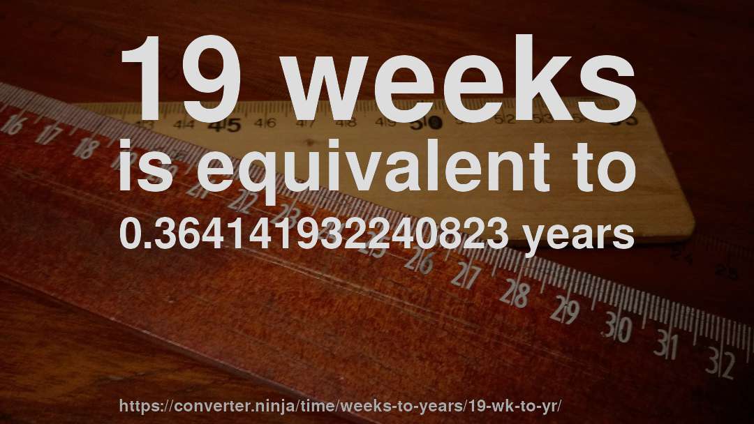 19 weeks is equivalent to 0.364141932240823 years