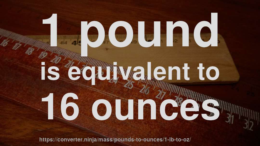 1 pound is equivalent to 16 ounces