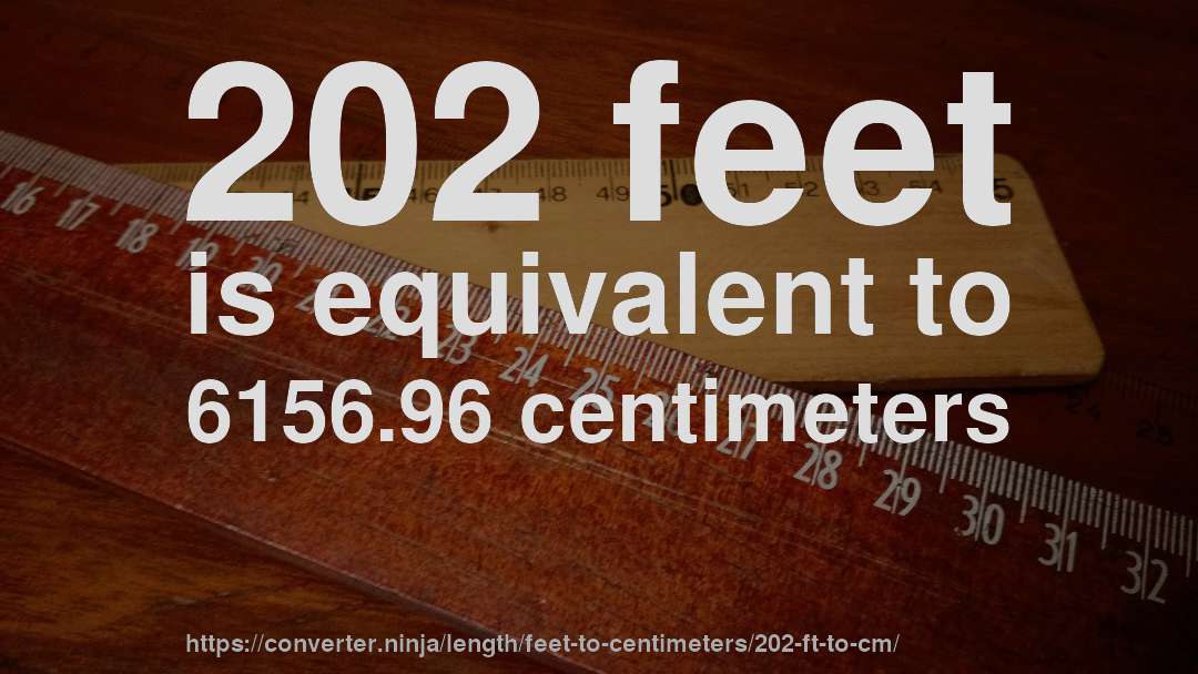 202 feet is equivalent to 6156.96 centimeters