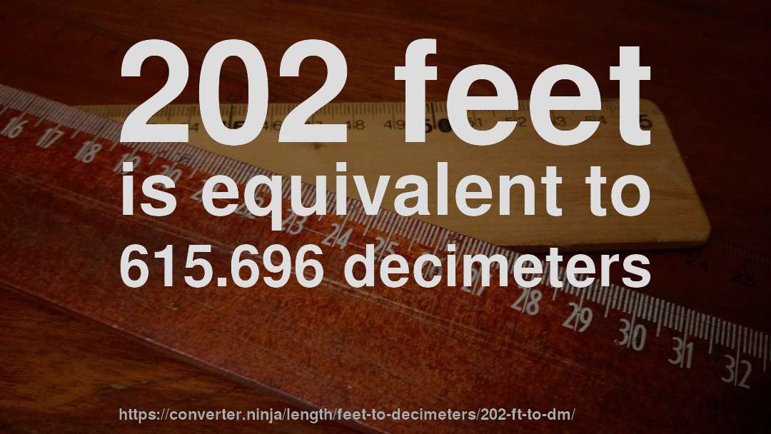 202 feet is equivalent to 615.696 decimeters