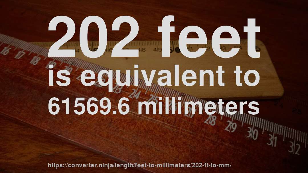 202 feet is equivalent to 61569.6 millimeters