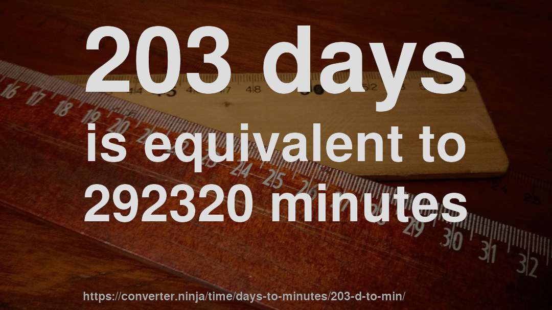 203 days is equivalent to 292320 minutes