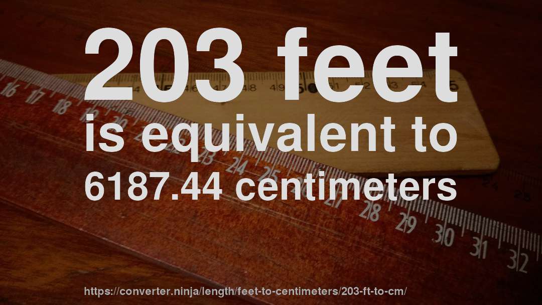 203 feet is equivalent to 6187.44 centimeters