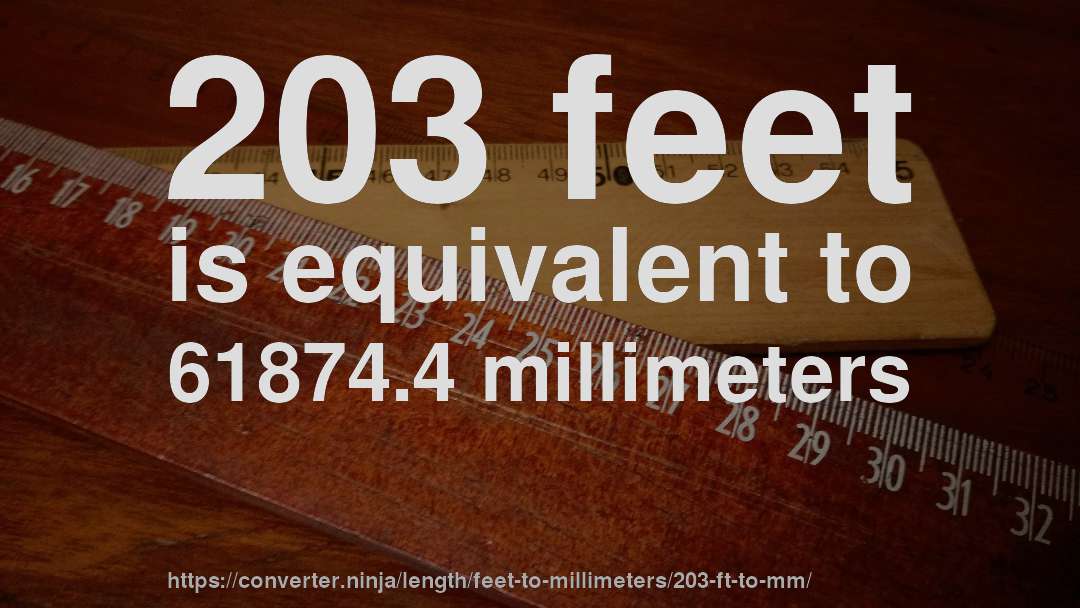 203 feet is equivalent to 61874.4 millimeters