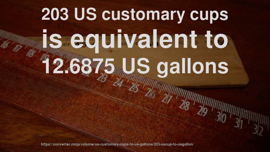 203 US customary cups is equivalent to 12.6875 US gallons