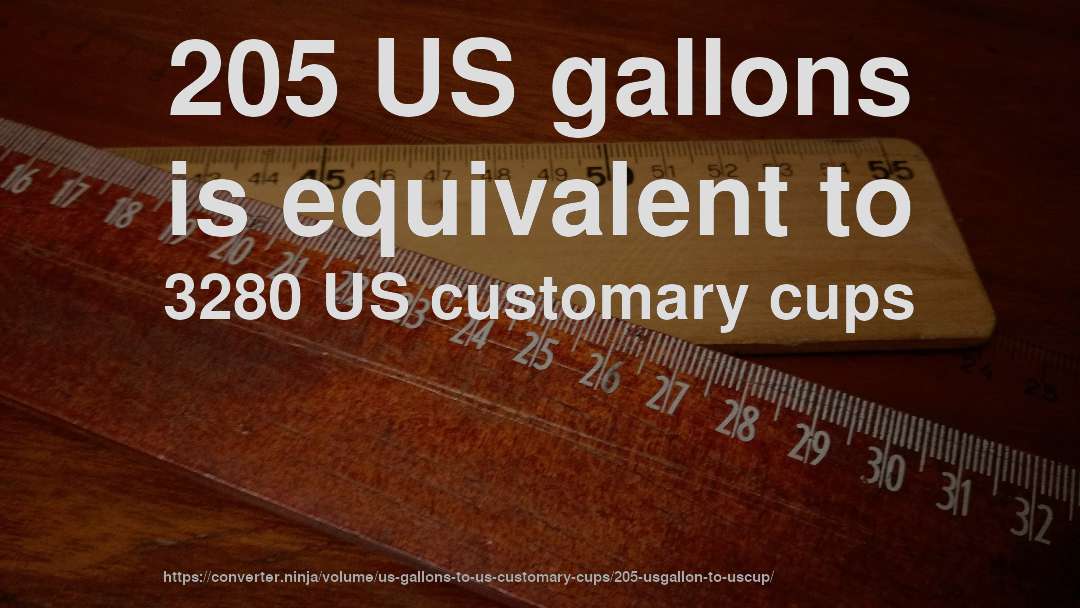 205 US gallons is equivalent to 3280 US customary cups