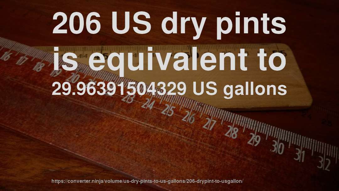206 US dry pints is equivalent to 29.96391504329 US gallons