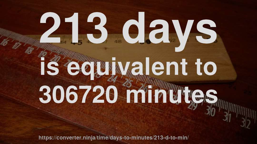213 days is equivalent to 306720 minutes