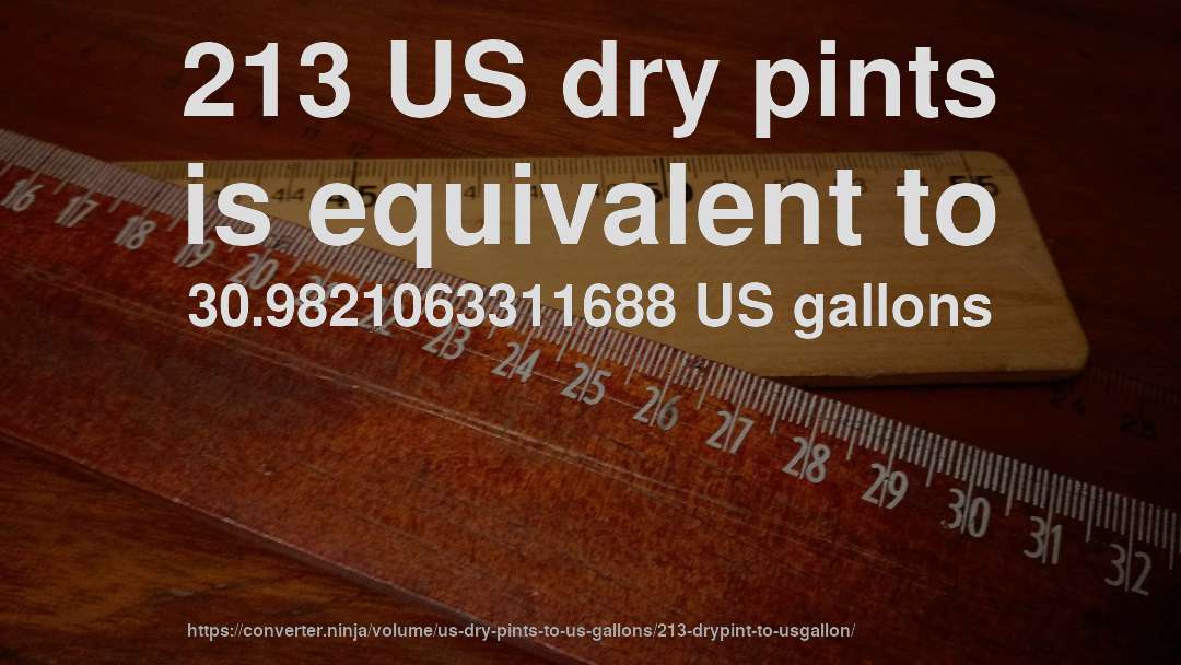 213 US dry pints is equivalent to 30.9821063311688 US gallons