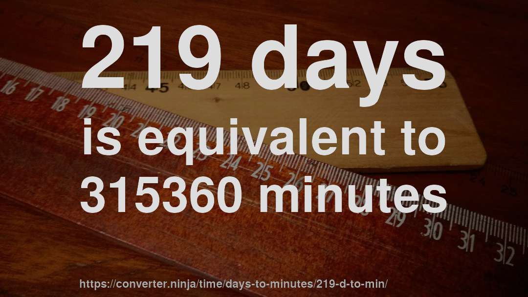 219 days is equivalent to 315360 minutes