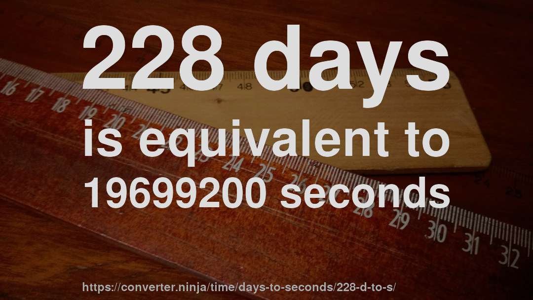 228 days is equivalent to 19699200 seconds