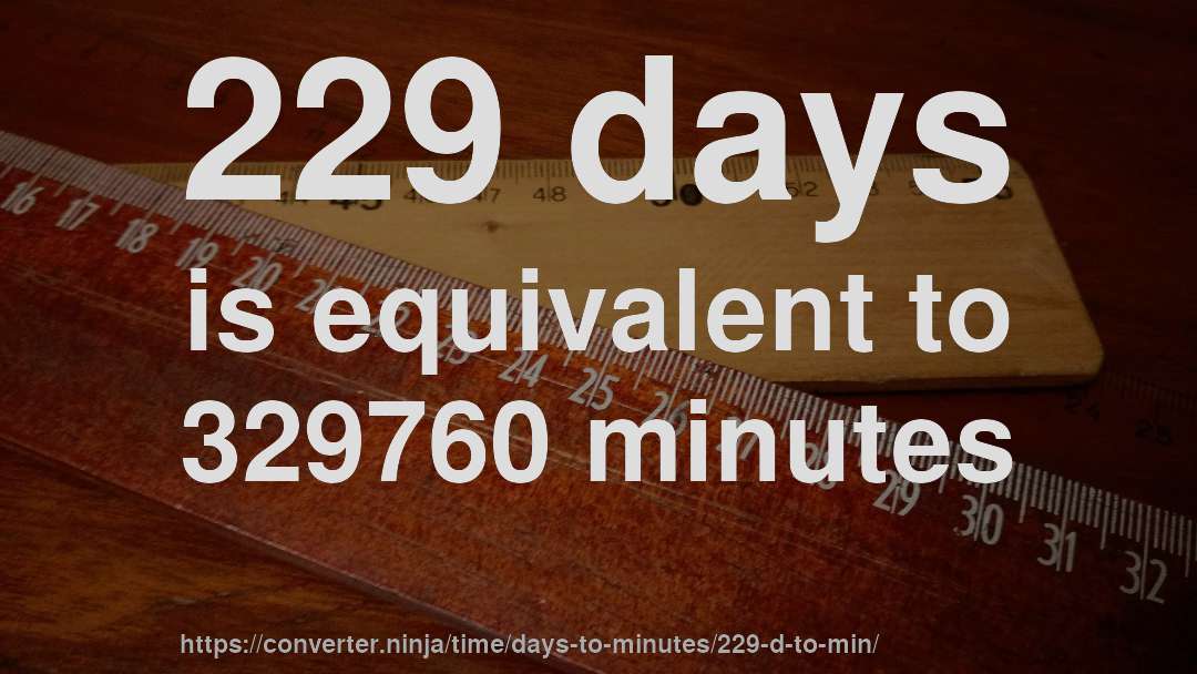 229 days is equivalent to 329760 minutes