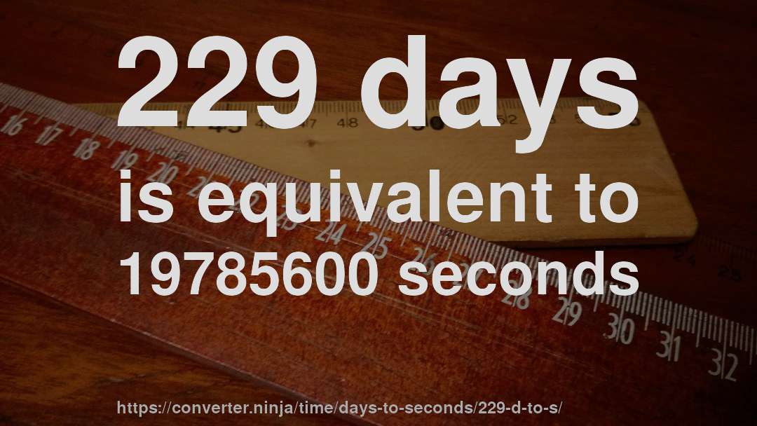 229 days is equivalent to 19785600 seconds