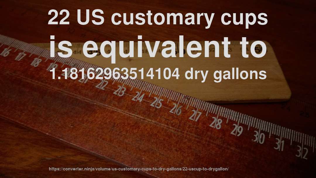 22 US customary cups is equivalent to 1.18162963514104 dry gallons