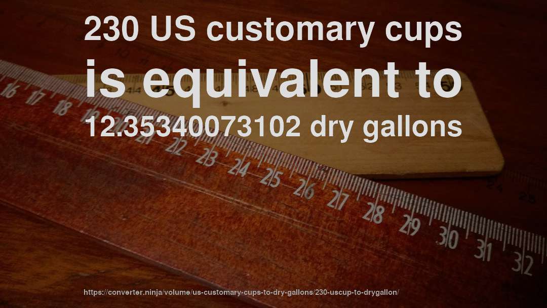 230 US customary cups is equivalent to 12.35340073102 dry gallons
