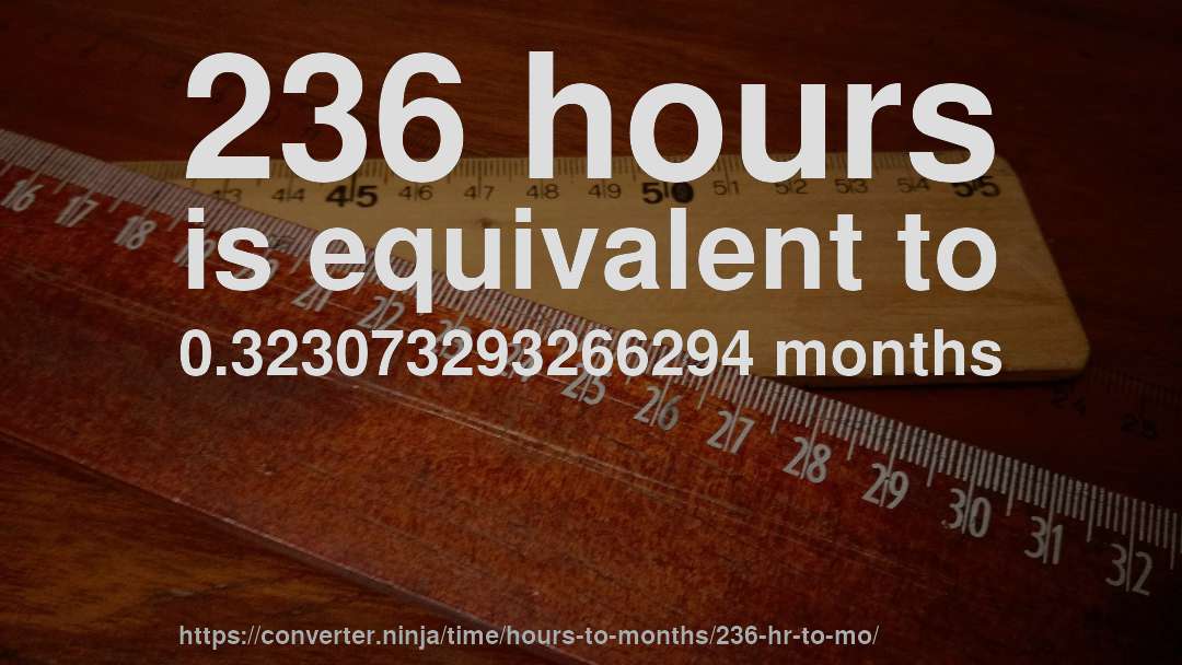 236 hours is equivalent to 0.323073293266294 months