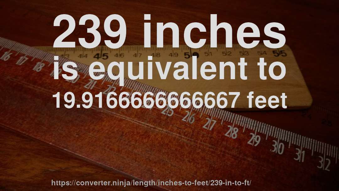 239 inches is equivalent to 19.9166666666667 feet
