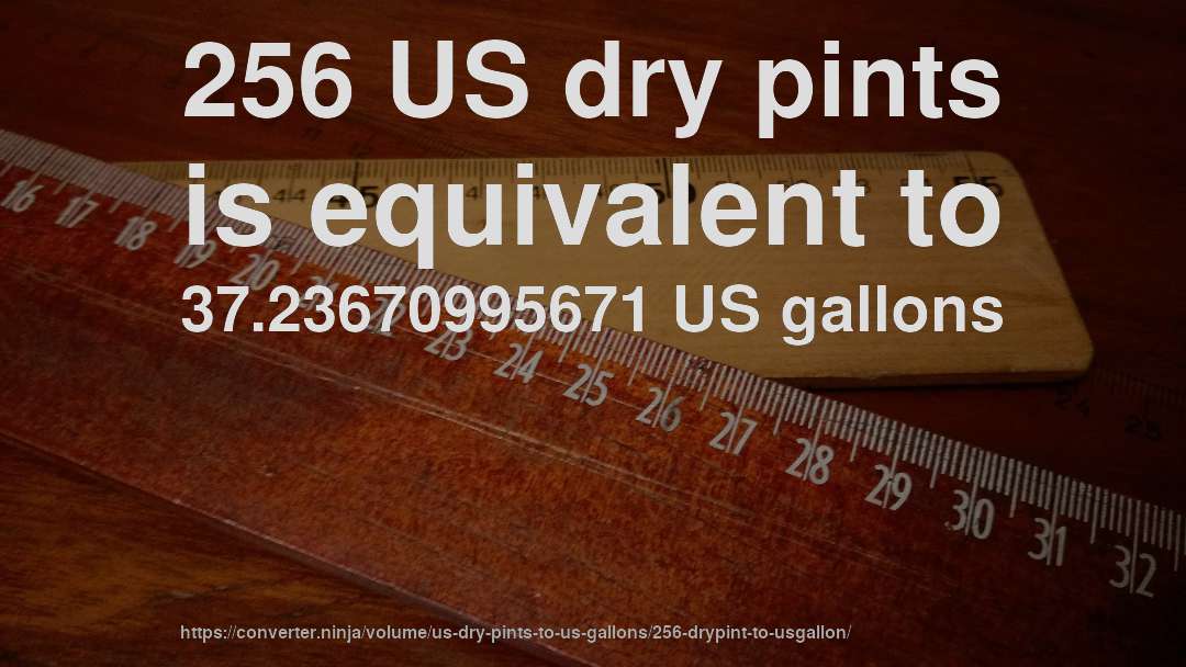 256 US dry pints is equivalent to 37.23670995671 US gallons