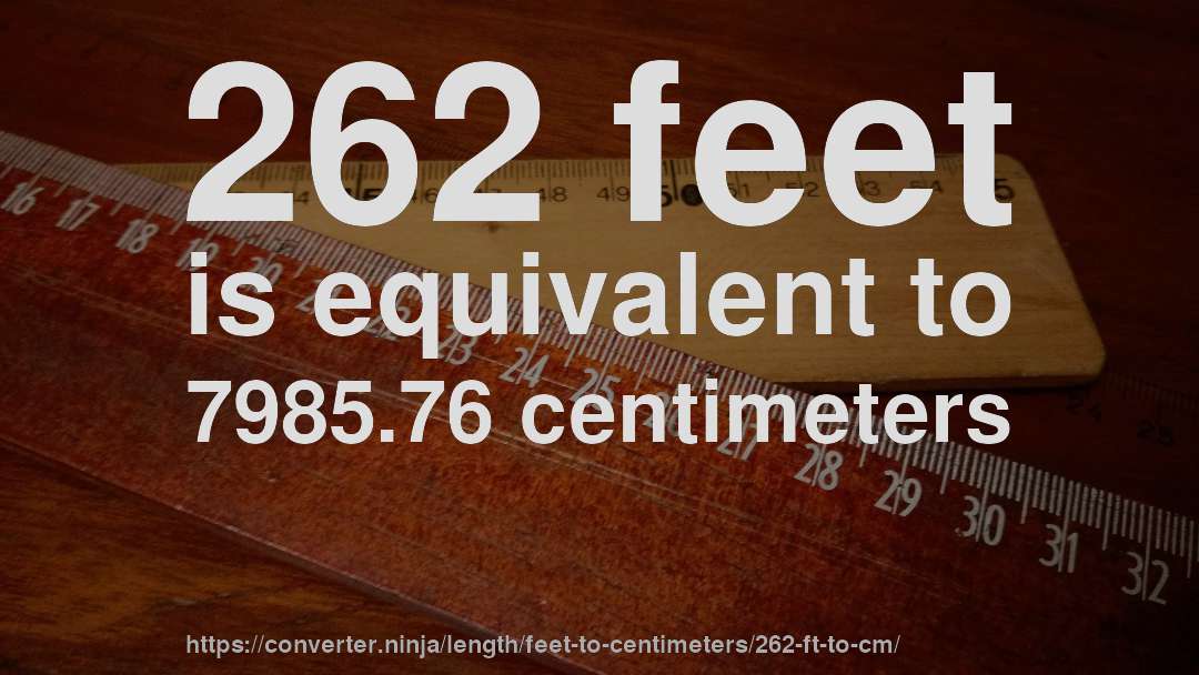 262 feet is equivalent to 7985.76 centimeters