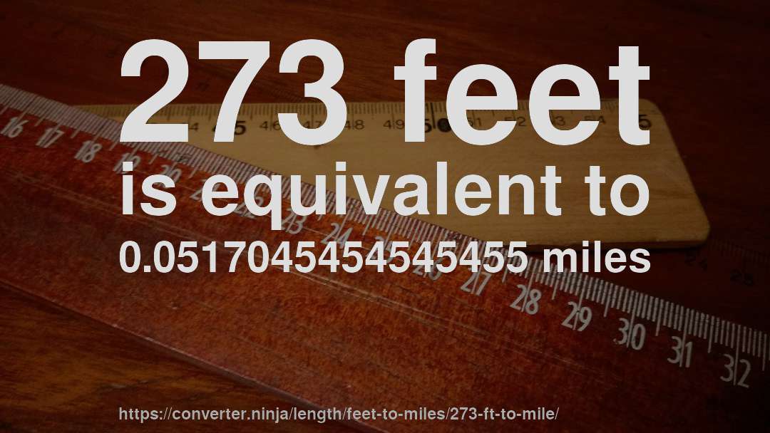 273 feet is equivalent to 0.0517045454545455 miles