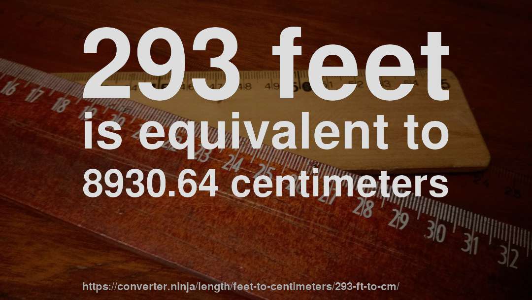 293 feet is equivalent to 8930.64 centimeters