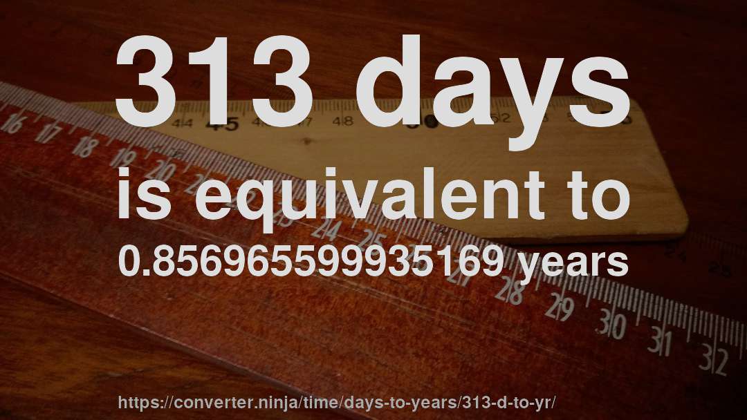 313 days is equivalent to 0.856965599935169 years