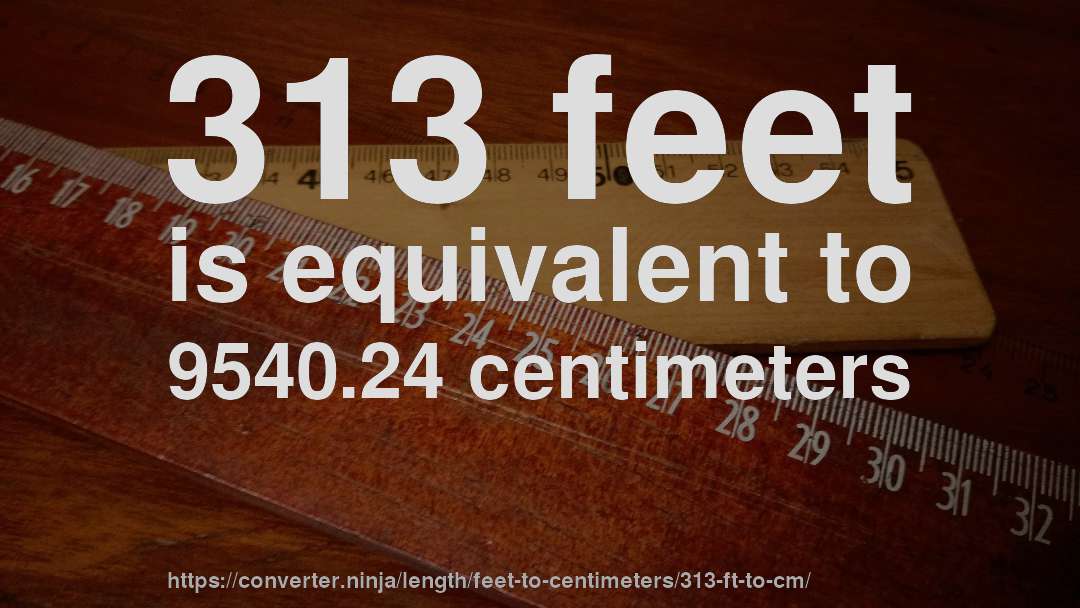 313 feet is equivalent to 9540.24 centimeters