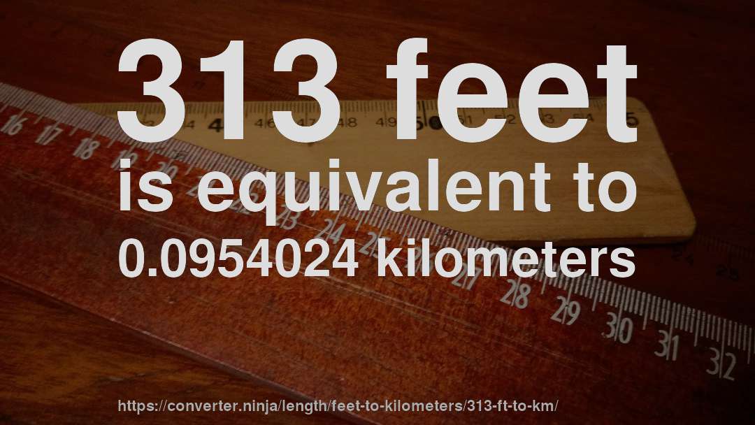 313 feet is equivalent to 0.0954024 kilometers