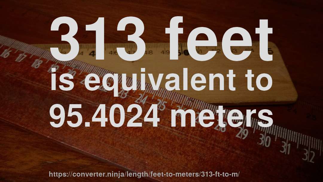 313 feet is equivalent to 95.4024 meters