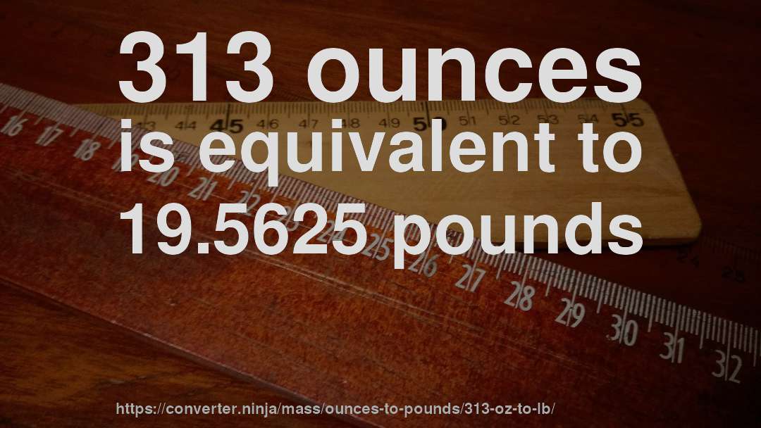 313 ounces is equivalent to 19.5625 pounds