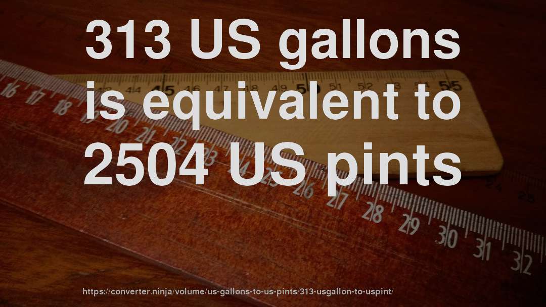 313 US gallons is equivalent to 2504 US pints