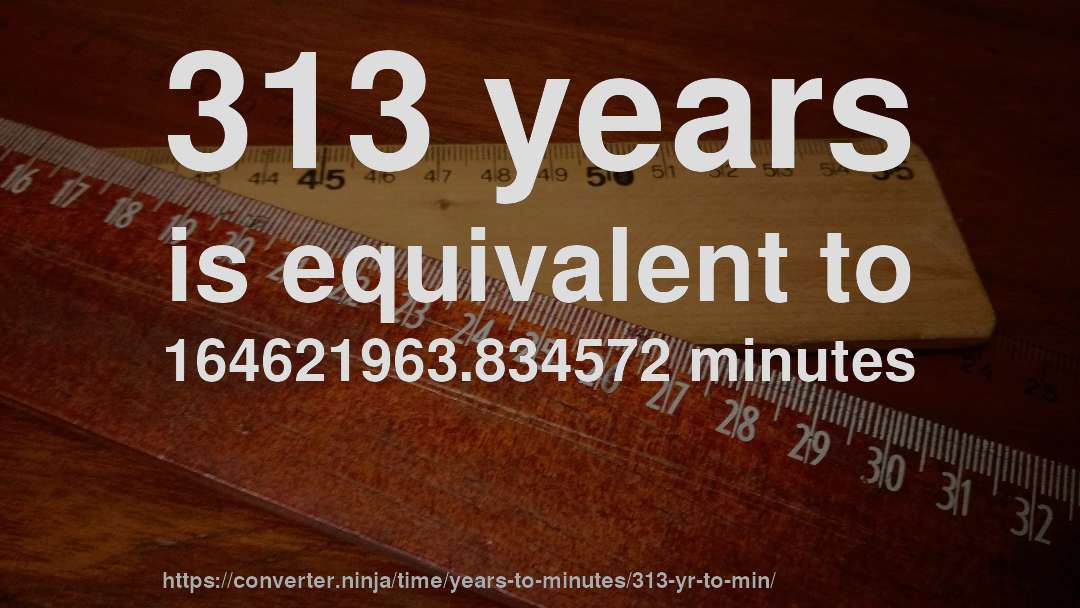 313 years is equivalent to 164621963.834572 minutes