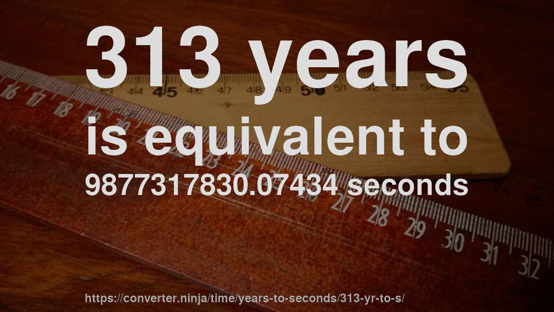313 years is equivalent to 9877317830.07434 seconds