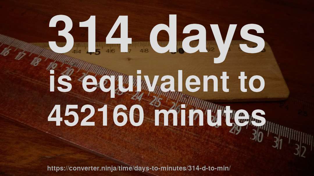 314 days is equivalent to 452160 minutes