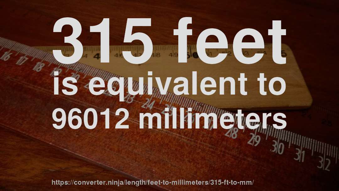 315 feet is equivalent to 96012 millimeters