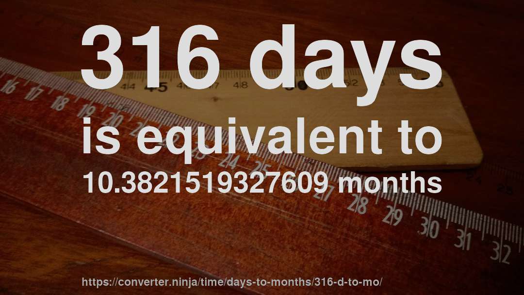 316 days is equivalent to 10.3821519327609 months
