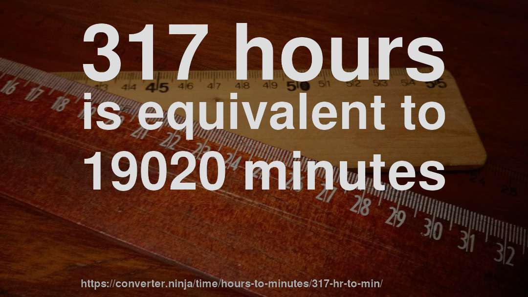 317 hours is equivalent to 19020 minutes