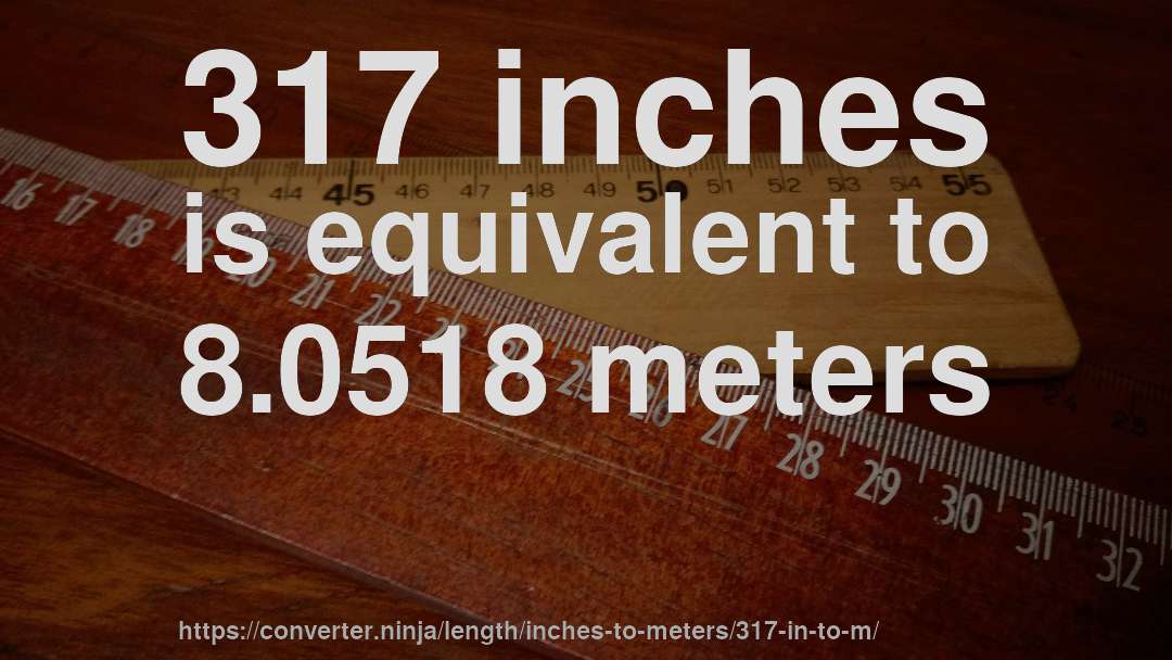 317 inches is equivalent to 8.0518 meters