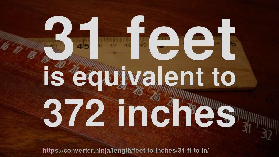 31 feet is equivalent to 372 inches