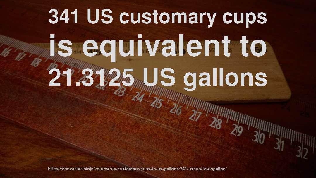 341 US customary cups is equivalent to 21.3125 US gallons