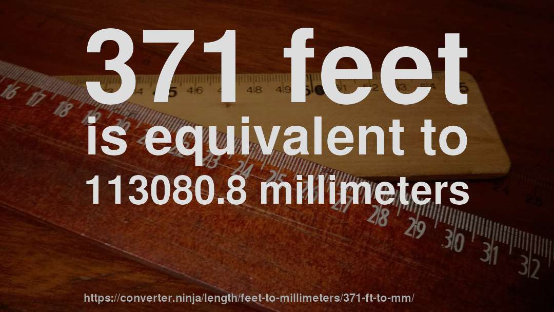 371 feet is equivalent to 113080.8 millimeters